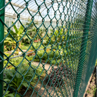 Clôture en treillis soudé thermolaqué pour la sécurité des piscines et la beauté des bordures de jardin