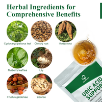 Tisane Équilibrante Acide Urique Chinaherbs GMP, 10 Sachets, Santé des Reins et des Articulations, Tisane Aromatique, Formule Personnalisée, OEM ODM, Sans OGM