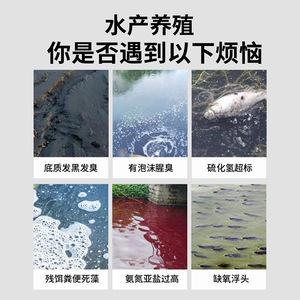 Lodo Negro Yu Yao, 5g por Tonelada, Purificador de Agua para Acuicultura, Eliminación de Lodos en Estanques - Product Image 4