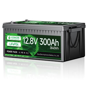 カスタム12v 12.8V 50Ah 100Ah 200Ahソーラーカーオート充電式Lipo Lfp Lifep04 Lifepo4バッテリーパックリチウムイオン電池 - Product Image 5