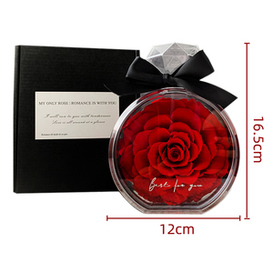 Lovebay Vente en gros <span class=keywords><strong>de</strong></span> fleurs préservées Cadeau pour la fête des mères pour femmes Rose éternelle réelle à longue durée <span class=keywords><strong>de</strong></span> vie Bouteille <span class=keywords><strong>de</strong></span> parfum en acrylique Roses préservées - Product Image 3