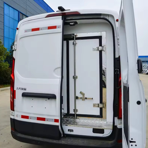 Nhỏ 1ton 1.5ton 2ton Mini Lạnh Van Đóng Băng <span class=keywords><strong>Freshment</strong></span> Lạnh Cách Điện Y Học Và Vaccine Tàu Sân Bay Xe Tải - Product Image 2