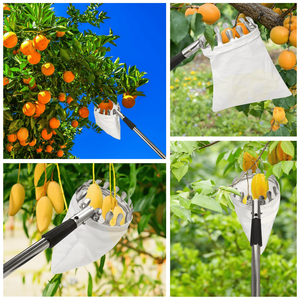 Outil de cueillette de fruits de qualité industrielle écologique, perche télescopique en aluminium, manche droit en plastique, personnalisable OEM, avec panier inclus - Product Image 4