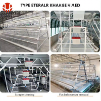 Cage à poules automatique de type A personnalisable, conception modulaire galvanisée, capacité de 1000 à 5000 poulets, en vente