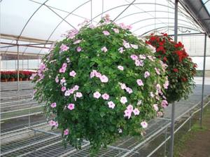 Macetas Colgantes para Jardín, Soporte para Macetas, Jardín Vertical Colgante, Macetas Decorativas en Forma de Bola, Ecológicas - Product Image 4