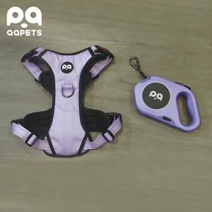 QQPETS Luxury LED Light-Up 3 piezas <span class=keywords><strong>Collar</strong></span> de perro Correa Arnés Set Custom Night Pet Walks Estilo de moda Transpirable Nylon Goma - Product Image 3