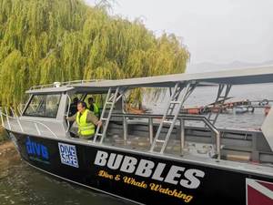 Bateau de plongée sous-marine en aluminium, bolide de 11.6m, 38ft, livraison gratuite - Product Image 4