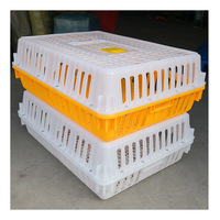 Cage de transport pour volailles, boîte de retournement pour poussins, caisse de transport en plastique pour canards et pigeons, équipement agricole