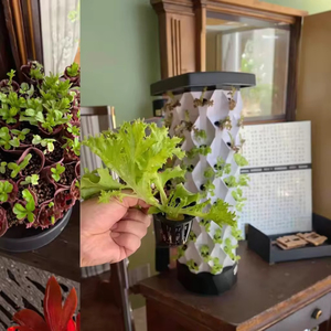 HydroBlue Food-Safe ABS Vertical Hydroponic Tower System LED <b>Grow</b> <b>Light</b> Automated Irrigation Pump 96 <b>Plants</b> High Hydroponic <b>Grow</b> - Product Image 6