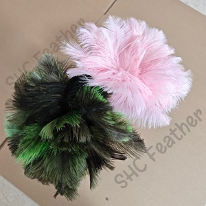 Plumeau en plumes d'autruche teintes <span class=keywords><strong>de</strong></span> haute qualité, directement <span class=keywords><strong>de</strong></span> l'usine, pour le nettoyage des meubles, des voitures et des équipements électriques. - Product Image 5