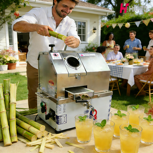 Prensa de Caña de Azúcar Tradicional Tipo Trapiche, Máquina Exprimidora Comercial para Guaraná de Alto Rendimiento, Popular en Colombia y Latinoamérica - Product Image 4