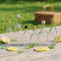 Bouteille de vin transparente de petite taille, bouteille de Baijiu, bouteille en verre vide, bouteille d'aliquote de 50 ml, bouteille d'essai
