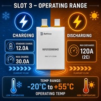 Batterie solide Battivus 60Ah 3.87V, décharge 2C, 516g, seulement 450Wh/kg, pour drone de cartographie VTOL à longue autonomie et charge lourde