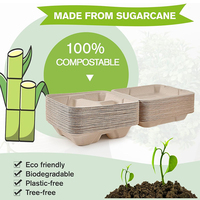 Bon marché Prix Écologique Biodégradable 100% Compostable Jetable À Emporter Conteneurs Alimentaires Boîtes À Clapet à Aller