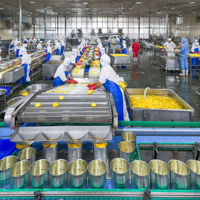 Línea de producción de frutas enlatadas completamente automática con llenado y esterilización automáticos de jarabe de salmuera