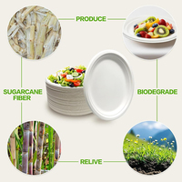 Assiettes en papier 100% compostables, résistantes, 9 pouces, jetables, écologiques, biodégradables, en bagasse de canne à sucre