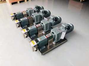 Pompa a lobo in acciaio inossidabile 2KW ad alta efficienza per uso alimentare pompa a rotore ad alta pressione per il trasporto di energia liquida ad alta viscosità da 5KW - Product Image 2