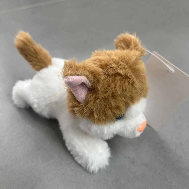 สีน้ำตาล