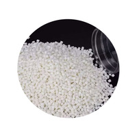 Harga Resin PLA Mentah Berkualitas Tinggi, Pelet PLA 4043d untuk Kantong Plastik Sekali Pakai