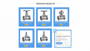Válvula Solenoide de Diafragma de Acero Inoxidable COVNA B2B, Válvula Solenoide de 2 Pulgadas y 12 V Normalmente Abierta para Agua y Aire, Liquidación B2B - Product Image 3
