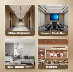 ระบบประตูบานเลื่อนกระจกกั้นห้องสำหรับห้องนั่งเล่นของโรงพยาบาลดีไซน์ฝรั่งเศสที่ทันสมัย - Product Image 6