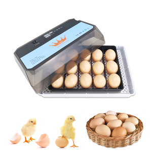<span class=keywords><strong>Incubateur</strong></span> automatique 15 œufs, neuf, en PP, pour usage domestique, mini, polyvalent pour poulets, canards, oies et autres oiseaux, format valise/œufs - Product Image 1