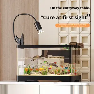 Moderne schildpadkweekbak - Transparant <span class=keywords><strong>plastic</strong></span>, zonnebadplatform, milieuvriendelijke rechthoekige bureau-<span class=keywords><strong>aquarium</strong></span> voor vissen & reptielen - Product Image 3