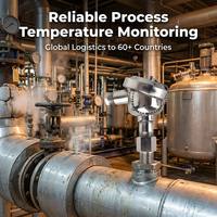 Termokopel dan Resistor Tahan Ledakan Huadong Dilengkapi dengan Selubung Thermowell di Bagian Luar PT100