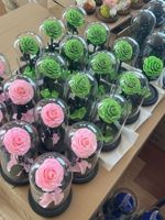 Echte ewige Blume für immer Rosen konservierte Rose in Glaskuppel für Ostern Weihnachten Halloween Thanksgiving Muttertag Geschenk