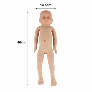 Modèle anatomique humain en PVC pour la formation scientifique médicale avancée, simulateur d'accouchement en cas de dystocie, mannequin de sage-femme, école de médecine - Product Image 3