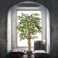 HOMESCAPES Arbre artificiel Ficus variegaté de 1,20 m à 1,50 m, plante d'intérieur avec tronc en bois véritable, feuilles réalistes, pot décoratif pour la maison