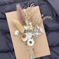 Mini Bouquet de Fleurs Séchées Pampas, Composition Florale Boîte aux Lettres, Carte de Vœux, Petit Bouquet