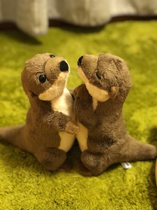 Nutria <span class=keywords><strong>de</strong></span> Río euroasiático <span class=keywords><strong>de</strong></span> peluche, animales salvajes realistas, juguetes <span class=keywords><strong>de</strong></span> peluche, <span class=keywords><strong>nutrias</strong></span> suaves realistas, superventas - Product Image 6