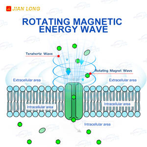 2025 baru grosir alat terapi PEMF Terahertz alat terapi Spa pengendali jarak jauh pemijat tubuh terapi kaki Terahertz - Product Image 3