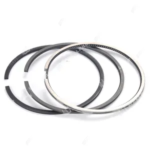 Fascia elastica utilizzare fasce elastiche Diesel F8Q Clio R19 80mm 1.9L per Renault