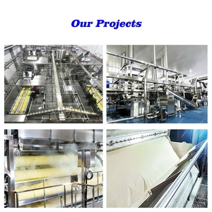 Ligne de transformation automatique de flocons de pommes de terre à haute efficacité, échangeur de chaleur, capacité alimentaire - Product Image 4