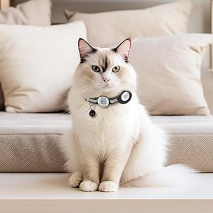 Collier de suivi <span class=keywords><strong>GPS</strong></span> intelligent pour animaux de compagnie avec étui AirTag intégré, code QR à scanner pour le contact, étanche IP67, autonomie de 1 an, léger, compatible iOS - Product Image 6