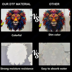 Imprimante numérique A4 DTF (Direct to Film) pour transfert thermique sur tissu, idéale pour les sweats à capuche, jeans, casquettes, chaussures et tous types de tissus personnalisés - Product Image 6