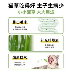 Kit de Cultivo de Hierba para Gatos con 90% de Tasa de Germinación, Contenedor de Plástico Reutilizable para Interiores, Diseño Redondo Simple, para Animales Pequeños - Product Image 3