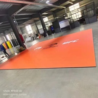 Tapis de sol en vinyle lisse XPE pour BJJ et MMA, épaisseur 2cm-5cm, personnalisable avec couleur sur mesure pour exercices en extérieur