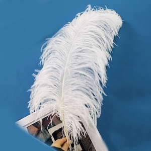 Bán Buôn 45-50Cm Trắng Đà Điểu Lông Nhuộm Màu Tóc Cho Lông Đèn & Đám Cưới Centerpieces Chất Lượng Cao Sản Phẩm - Product Image 2