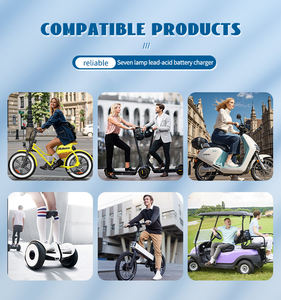 Chargeur 7 lumières pour affichage 60V 3A – Vente en gros usine, prise en charge OEM ODM pour les distributeurs de vélos et trottinettes électriques - Product Image 3