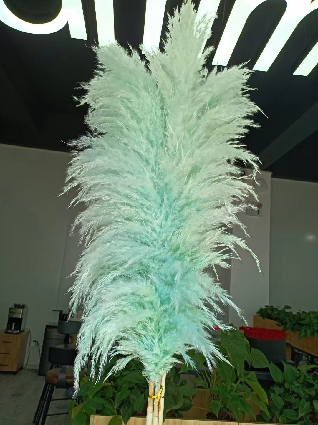 Bleu clair
