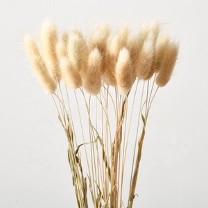 ZS003 vente en gros, Bouquet naturel en queue de lapin, herbe, lagus Ovatus, fleurs séchées pour décoration de mariage - Product Image 6