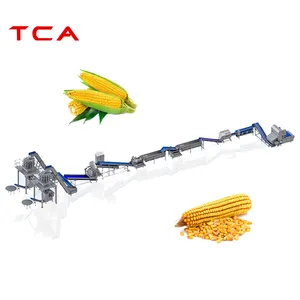 TCA agricultural food maize dryer machine corn fruit and vegetables drying processing line food drying line