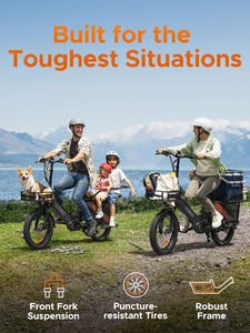 2025 Elektrische Bakfiets <span class=keywords><strong>200Kg</strong></span> Laadvermogen 48V 250W Middenaandrijving Motor 180Km Bereik 20 Inch Elektrische Hybride Fiets Stad Ebike Bici Familie - Product Image 3