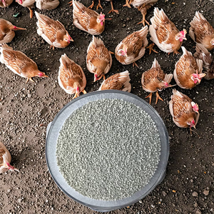 Fosfato Monocálcico MCP 22% Aditivo para Alimentos Granular - Product Image 6