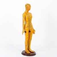 Modèle humain féminin jaune et blanc de 52 cm de hauteur avec points d'acupuncture anglais, en PVC souple, pour hôpital