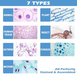 Recursos Didácticos, Equipo de Enseñanza, Microscopio Médico, Preparación de Secciones Histológicas de Portaobjetos Biológicos, 25 Piezas - Product Image 3