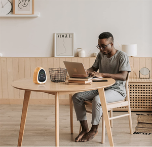 Fabrika doğrudan 3-in-1 dedektörü: CO2 + RH + sıcaklık monitörü | 20 adet/ctn | 1 yıl garanti - Product Image 4